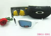 acheter sunglasses oakley 2013 lentille beau oakley good-9063